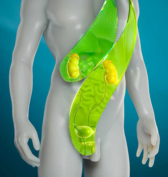 medical-products-urology